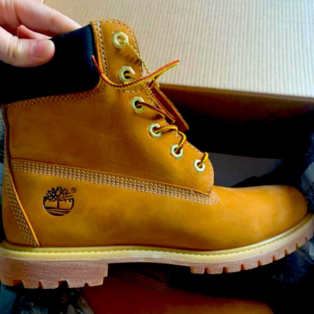 Brand New Waterproof Timberland Boots